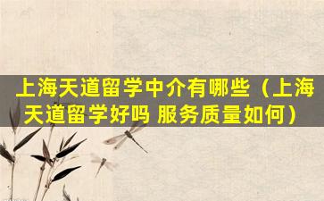 上海天道留学中介有哪些（上海天道留学好吗 服务质量如何）